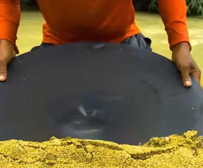 Bos Tambang Emas Ilegal Cigudeg Viral, Raup Cuan Besar di Cijahe Lobang Tiga!