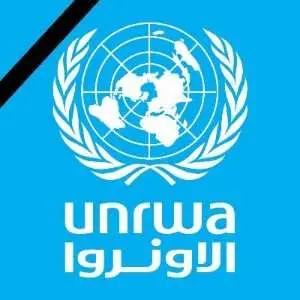 Israel Tuding 190 Staf PBB  Memperkuat Kelompok Militan