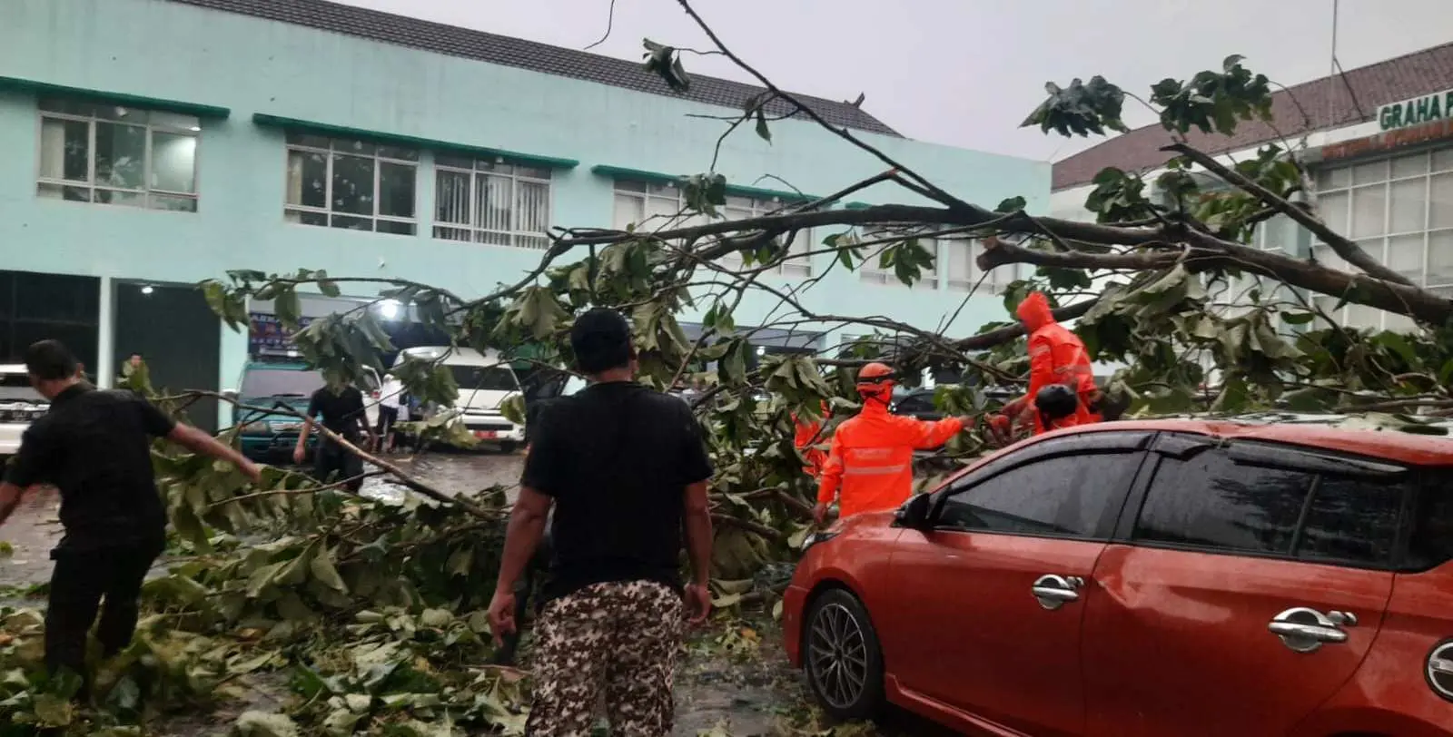 Sejumlah Kendaraan Rusak Tertimpa Pohon Usai Diguyur Hujan Angin di Bogor
